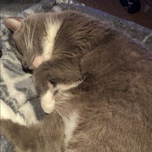 Meet your Posher, Adrian